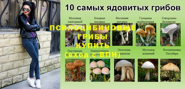 индика Абинск