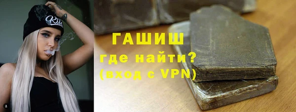 индика Абинск