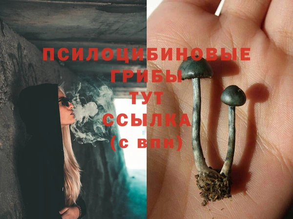 индика Абинск