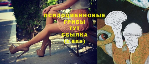 индика Абинск