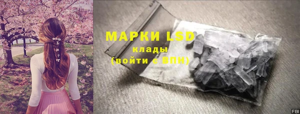 индика Абинск
