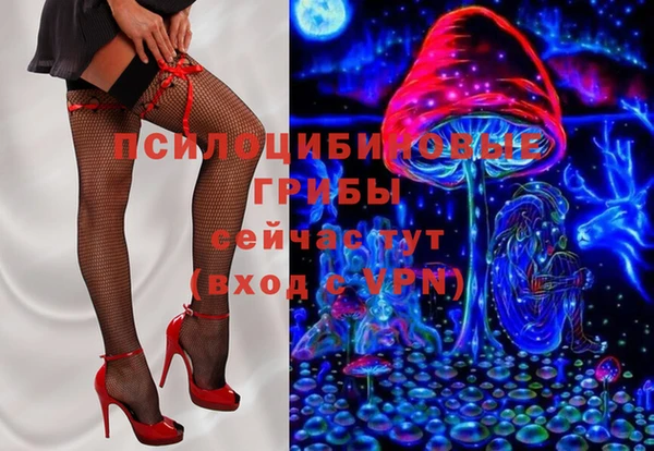 индика Абинск