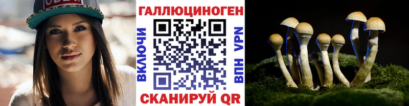 Галлюциногенные грибы Psilocybine cubensis  купить наркоту  Нижневартовск 